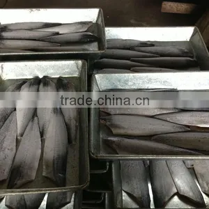 Spanish Mackerel Fillet and Scomberomorus Niphonius thumbnail-2