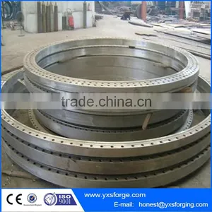 Carbon Steel / Stainless Steel Flange Forged Flanges Manufacturer thumbnail-2