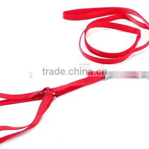 Wholesale New Fluorescent Color Chest Straps High Quality Nylon Pet Harness Leash thumbnail-6