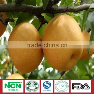 2016 Fresh Grown Pear thumbnail-1