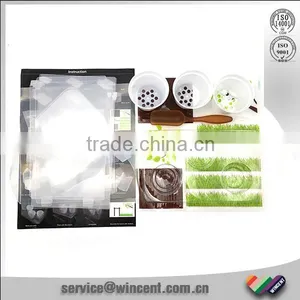 DIY Your Green House Kids Science thumbnail-3