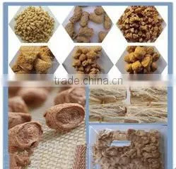 Fully Automatic SoybeanProtein Making Machine/Processing Line thumbnail-4