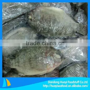 High Quality Fresh Frozen Whole Tilapia thumbnail-1