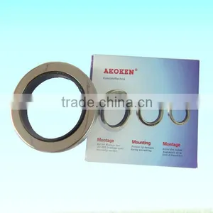 Compressor Seal/shaft Seal/container Seal/nok Oil Seals/compressor Piston Seals thumbnail-1