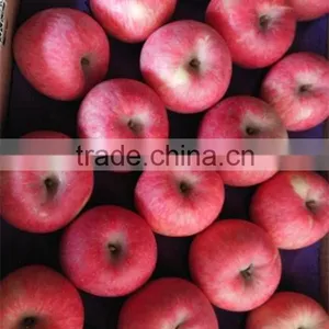 Red Fuji Apple Fresh Fuji Apple thumbnail-1