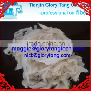 Best Quality and Lowest Price Short White Sheep Wool Waste thumbnail-1