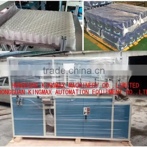 Automatic Bottle Packing Machine thumbnail-1