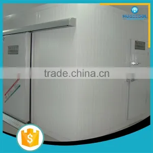20 Years Experience Cold Storage Cold Room Equipment Price thumbnail-1
