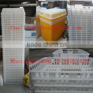 Used Poultry Crates/chicken Crates thumbnail-3