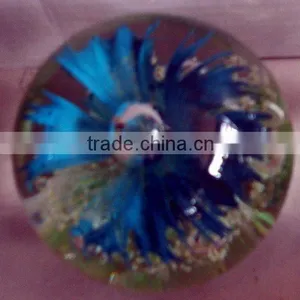 Murano Glass Paperweight for Home Decor thumbnail-1
