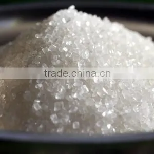 Sugar thumbnail-1