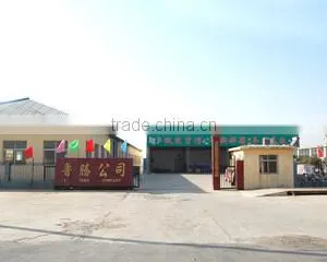 Jinxiang Luteng Trading Co., Ltd. company overview - view 1 thumbnail