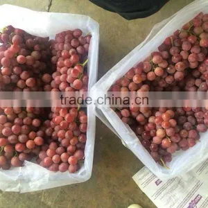 Chinese Globe Fresh Grape For Sale thumbnail-4