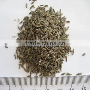 High Quality Spices & Herbs Cumin Seeds thumbnail-1