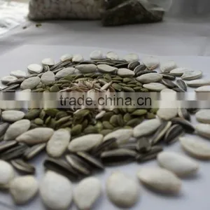 Grade A Pumpkin Seeds for Snacks thumbnail-4