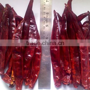 Chillies thumbnail-1