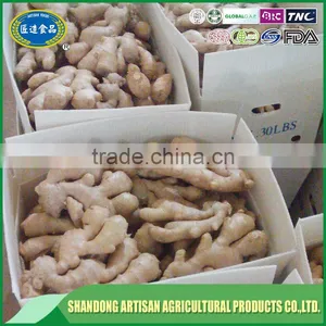 New Crop Buyer of Dry Ginger thumbnail-4