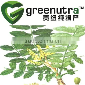 Olibanum Extract thumbnail-1