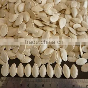 White Pumkin Seeds Shine Skin for Southeast Market thumbnail-2