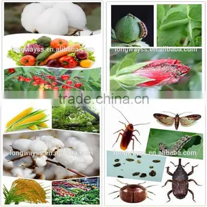 Pyrethroid Insecticide Beta-cypermethrin Pesticides 95%TC Strong Killing Power to the Health Pests Mosquitoes thumbnail-2