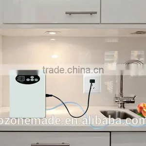 Home Use Ozone Water Purifier / Ozone Water Machine /household Ozone Generator thumbnail-6