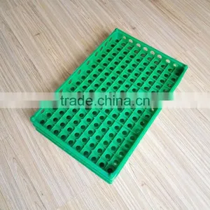 China Best Selling Plastic Egg Crate Tray for Quail Eggs Delivery thumbnail-1