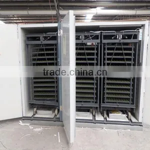 High Hatching Rate JF-12672 Chicken Poultry Farm Equipment thumbnail-2