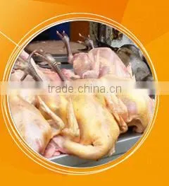 2016 Commercial Chicken Hair Removal Machine/poultry Feather Plucker Machine With One Year Guarantee thumbnail-6