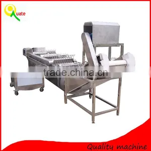 Bean Sprout Washing Machine|Soybean Sprout Washer|Leaf Vegetable Washing Machine thumbnail-6