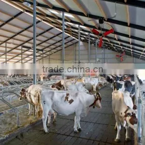 Cow Fan/hanging Fan/dairy Fan/dairy House Fan/cow House Fan thumbnail-1