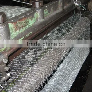 (E)Hexagonal Netting thumbnail-1