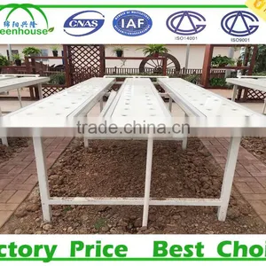 Hydroponic Systems Greenhouse for Agriculture thumbnail-6