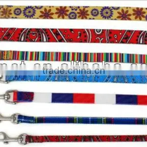 Dog Leash thumbnail-1