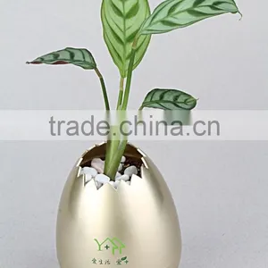 Hanging Flower Pot,flower Pot Stand,plastic Planter thumbnail-3