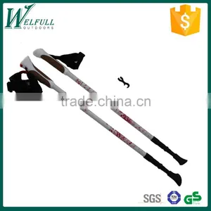 Nordic Walking Stick, Cheap Price, 3 Sections, Internal Lock, 6061 Aluminum SZ17007 thumbnail-1