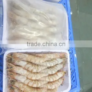 HOSO Sea White Shrimps - Penaeus Indicus thumbnail-3