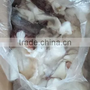 Frozen Giant Squid Neck thumbnail-3