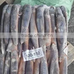 Good Quality Frozen Illex Argentinus Squid thumbnail-2