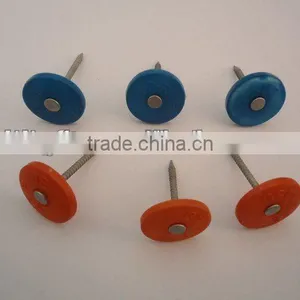 Plastic Cap Nail China Supplier on Hot Sale thumbnail-1