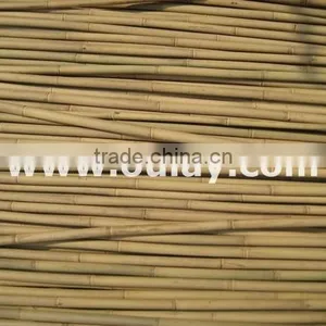 Natural Bamboo Poles Canes Cheap Wholesale thumbnail-1