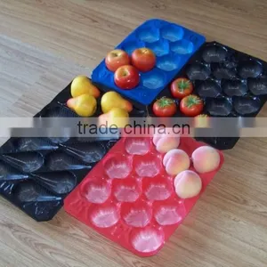 Food Grade Recycle Disposable Rectangular Tomato Plastic Container thumbnail-3