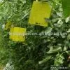 Sell Insect Glue Boards thumbnail-1