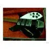 Indonesia 1964 Rickenbacker 325 (Rose Morris Export Model) thumbnail-1