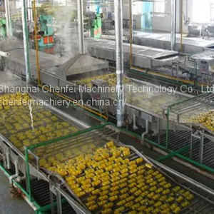 Canned Fruit Processing Line thumbnail-1