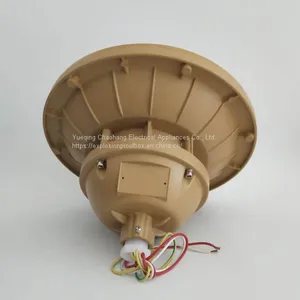 Explosion-proof Infinite Lamp Maintenance-free, Energy-saving and Explosion-proof Poleless Lamp Sbd1106-yql65 thumbnail-4