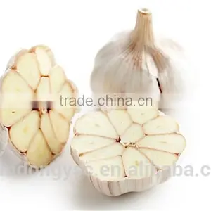 The Best Vegetable Product From China Fresh Garlic thumbnail-2
