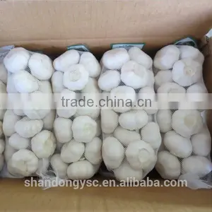 The Best Vegetable Product From China Fresh Garlic thumbnail-3
