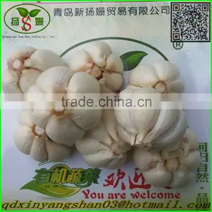 2015 Cangshan Fresh Garlic thumbnail-1