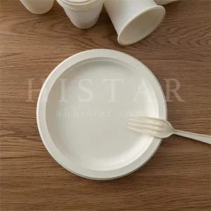 Disposable Biodegradable Food Plates thumbnail-1