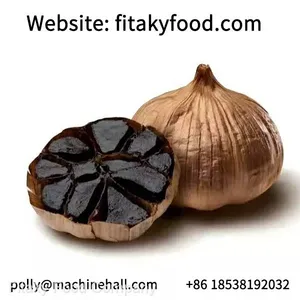 Halal Black Garlic Manufacturer thumbnail-1